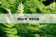 涨粉计划  涨粉方案