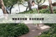 营销竞价托管  竞价托管运营