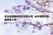 青岛淄博搜狗竞价托管公司  山东搜狗代理是哪家公司
