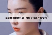 莱芜搜狗竞价托管  搜狗竞价开户多少钱