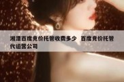 湘潭百度竞价托管收费多少  百度竞价托管代运营公司