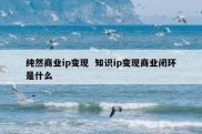 纯然商业ip变现  知识ip变现商业闭环是什么