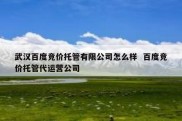 武汉百度竞价托管有限公司怎么样  百度竞价托管代运营公司