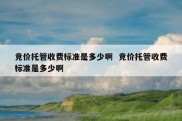竞价托管收费标准是多少啊  竞价托管收费标准是多少啊