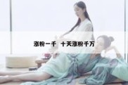 涨粉一千  十天涨粉千万