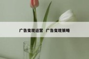 广告变现运营  广告变现策略