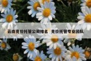 云南竞价托管公司排名  竞价托管专业团队