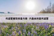 代运营餐饮抖音六安  六盘水抖音代运营