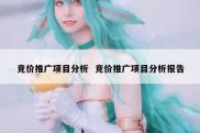 竞价推广项目分析  竞价推广项目分析报告