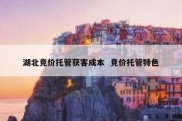 湖北竞价托管获客成本  竞价托管特色