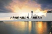 六安竞价托管公司  六安拍卖行