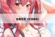 全国引流（引流排名）