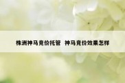 株洲神马竞价托管  神马竞价效果怎样