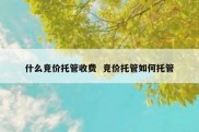什么竞价托管收费  竞价托管如何托管