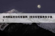 沧州网站竞价托管案例（竞价托管服务多少钱）