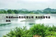 专业的sem竞价托管公司  竞价托管专业团队