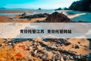 竞价托管江苏  竞价托管网站