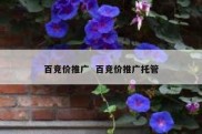 百竞价推广  百竞价推广托管