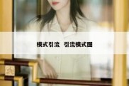 模式引流  引流模式图