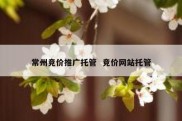常州竞价推广托管  竞价网站托管
