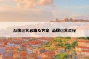 品牌运营思路及方案  品牌运营流程