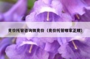 竞价托管咨询微竞价（竞价托管哪家正规）