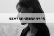 湘潭神马竞价托管服务的简单介绍