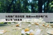 沁阳推广竞价托管  阳泉sem竞价推广托管公司飞向未来