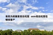 有实力的搜索竞价托管  sem竞价托管在哪找客户