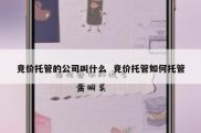 竞价托管的公司叫什么  竞价托管如何托管