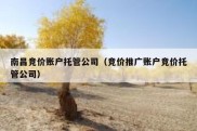 南昌竞价账户托管公司（竞价推广账户竞价托管公司）