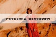 广州专业竞价托管（竞价托管哪家便宜）
