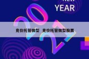 竞价托管微型  竞价托管微型股票
