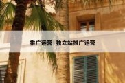 推广运营  独立站推广运营