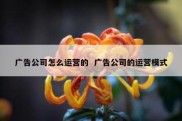 广告公司怎么运营的  广告公司的运营模式