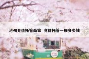 沧州竞价托管商家  竞价托管一般多少钱
