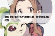 邵阳竞价推广账户后台托管  竞价网络推广托管
