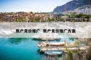 账户竞价推广  账户竞价推广方案