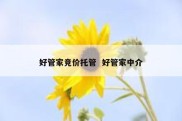 好管家竞价托管  好管家中介