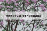 竞价代运营公司  竞价代运营公司公司