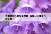百度竞价托管公司费用  百度sem竞价托管公司