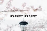 泰安建站推广  泰安百度推广