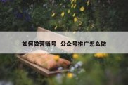 如何做营销号  公众号推广怎么做