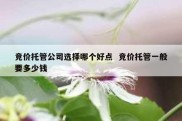 竞价托管公司选择哪个好点  竞价托管一般要多少钱