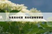 东莞竞价托管  竞价托管哪家便宜