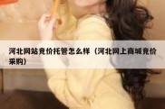 河北网站竞价托管怎么样（河北网上商城竞价采购）
