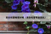 竞价托管哪家好呢（竞价托管专业团队）