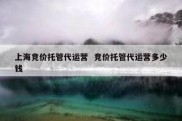 上海竞价托管代运营  竞价托管代运营多少钱