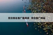 竞价排名推广服务商  竞价推广网站