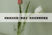 河南竞价托管一般多少  竞价托管哪家便宜